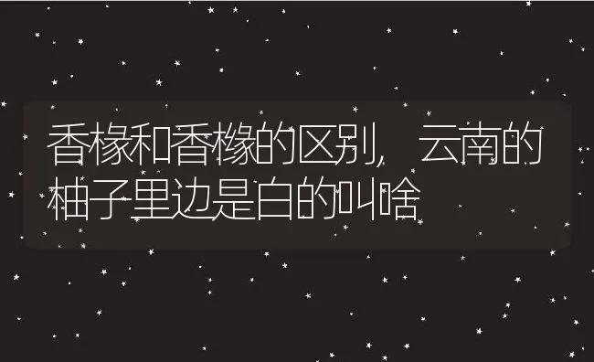 香椽和香橼的区别,云南的柚子里边是白的叫啥 | 养殖学堂