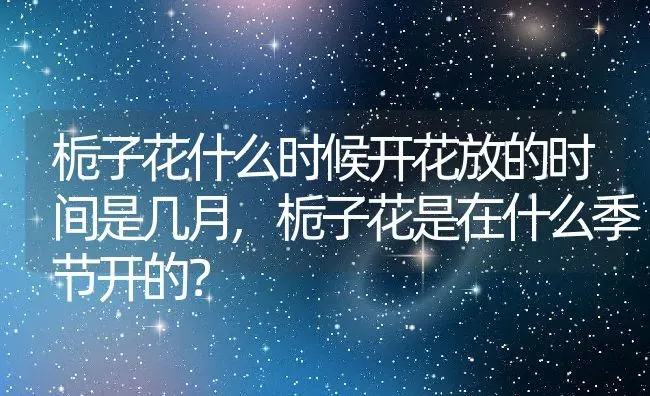 栀子花什么时候开花放的时间是几月,栀子花是在什么季节开的？ | 养殖科普