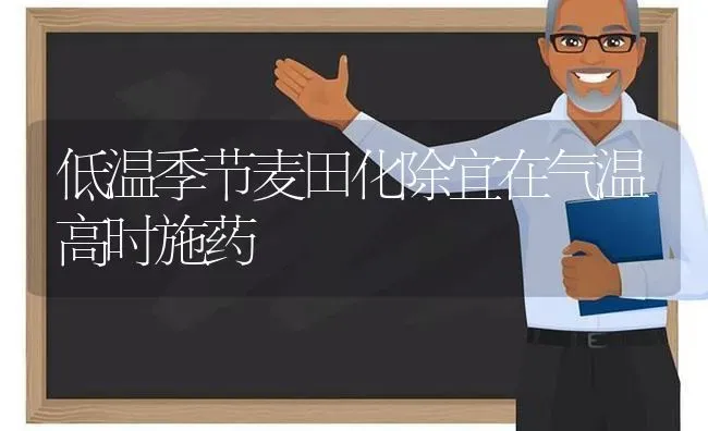 低温季节麦田化除宜在气温高时施药 | 养殖知识