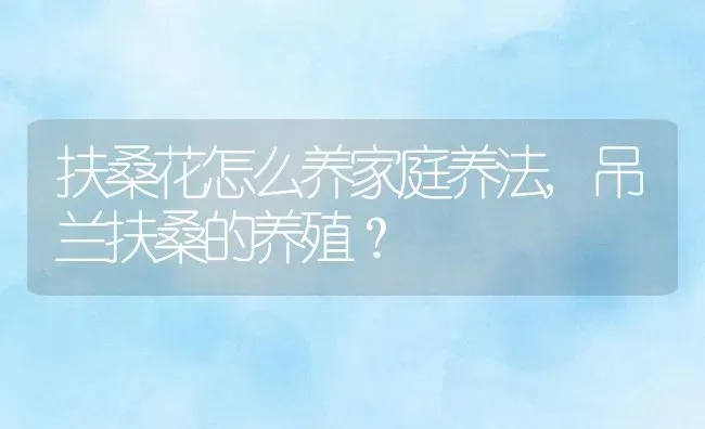 扶桑花怎么养家庭养法,吊兰扶桑的养殖？ | 养殖科普