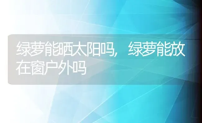 绿萝能晒太阳吗,绿萝能放在窗户外吗 | 养殖学堂