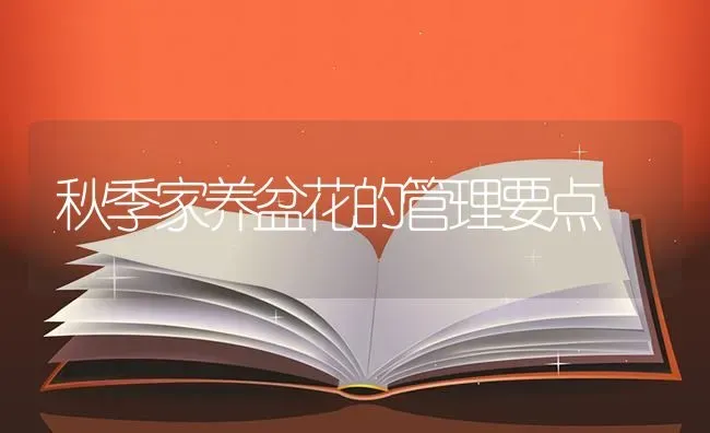 秋季家养盆花的管理要点 | 养殖知识