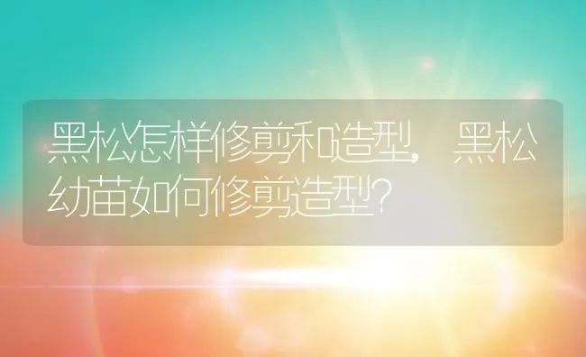 黑松怎样修剪和造型,黑松幼苗如何修剪造型？ | 养殖科普