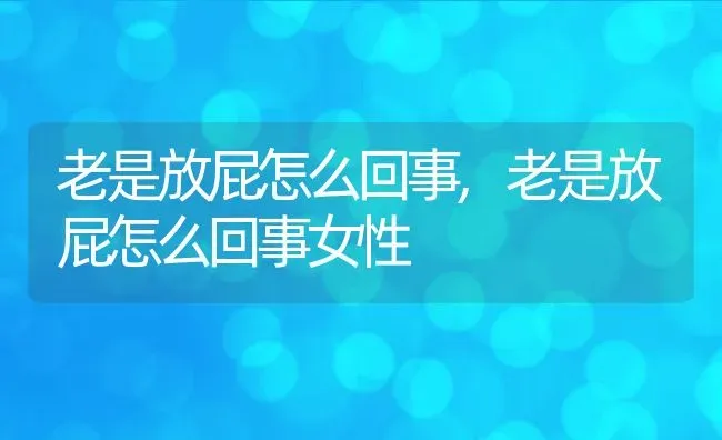 老是放屁怎么回事,老是放屁怎么回事女性 | 养殖资料