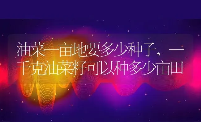 芒果种植的正确方法,芒果是如何进行种植的？怎样用种子来育苗 | 养殖学堂