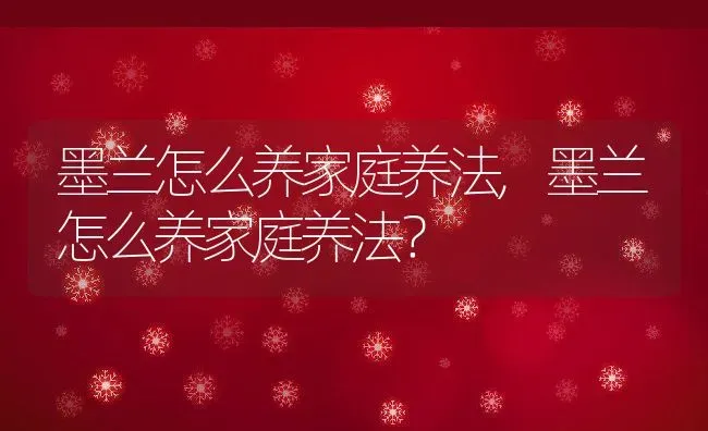 墨兰怎么养家庭养法,墨兰怎么养家庭养法？ | 养殖科普