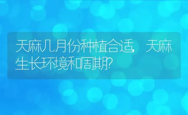 天麻几月份种植合适,天麻生长环境和周期？ | 养殖科普