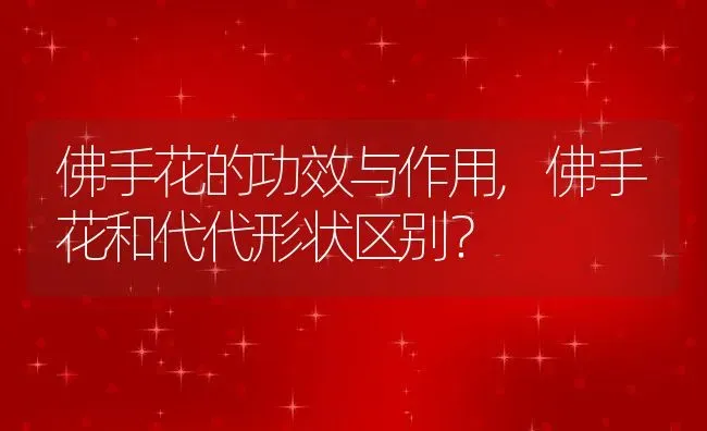 佛手花的功效与作用,佛手花和代代形状区别？ | 养殖科普