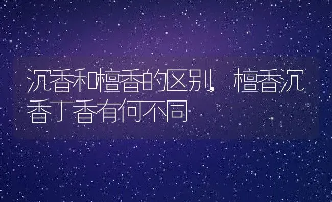 沉香和檀香的区别,檀香沉香丁香有何不同 | 养殖学堂