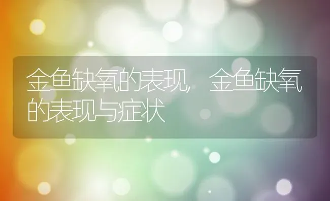 金鱼缺氧的表现,金鱼缺氧的表现与症状 | 养殖资料