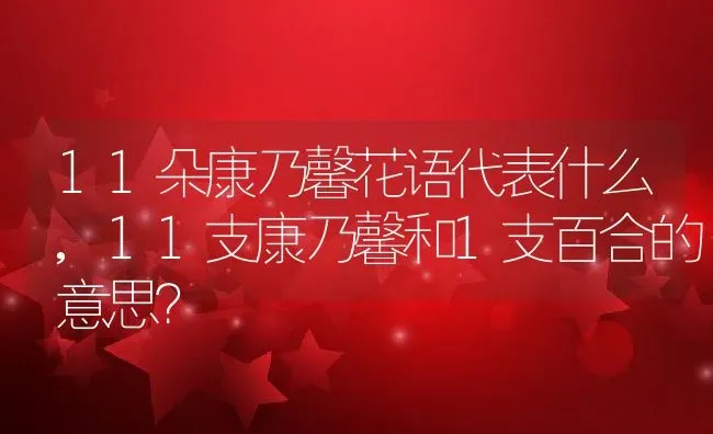 11朵康乃馨花语代表什么,11支康乃馨和1支百合的意思？ | 养殖学堂