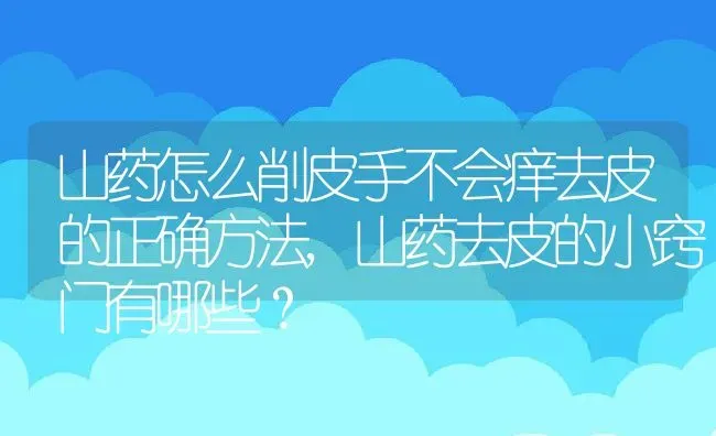 山药怎么削皮手不会痒去皮的正确方法,山药去皮的小窍门有哪些？ | 养殖科普