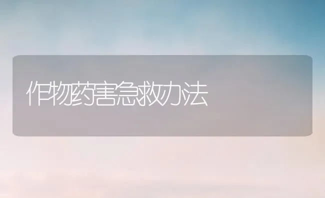 作物药害急救办法 | 养殖技术大全