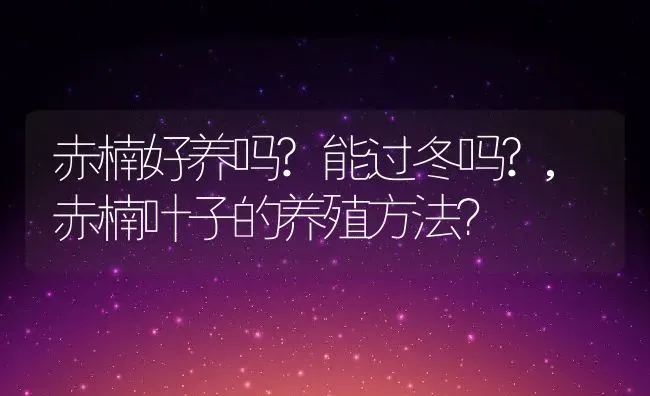 赤楠好养吗?能过冬吗?,赤楠叶子的养殖方法？ | 养殖科普