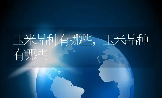 玉米品种有哪些,玉米品种有哪些 | 养殖科普