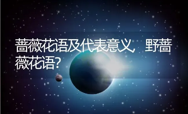 蔷薇花语及代表意义,野蔷薇花语？ | 养殖科普