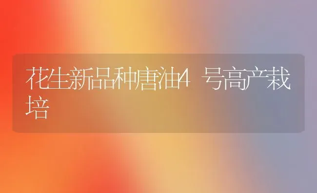 花生新品种唐油4号高产栽培 | 养殖知识
