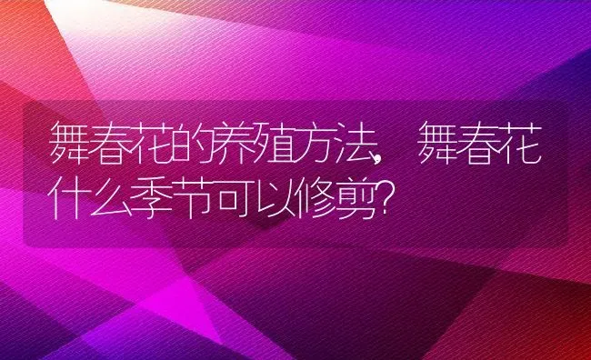 舞春花的养殖方法,舞春花什么季节可以修剪？ | 养殖科普