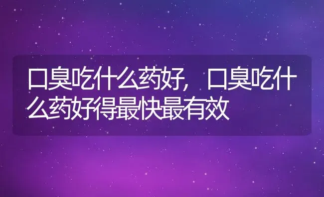 口臭吃什么药好,口臭吃什么药好得最快最有效 | 养殖科普