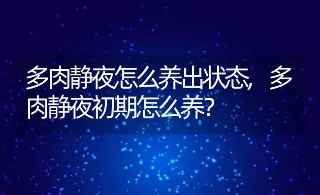 多肉静夜怎么养出状态,多肉静夜初期怎么养？ | 养殖科普