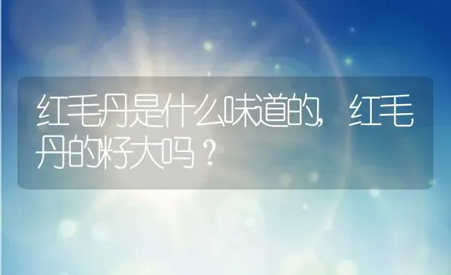 红毛丹是什么味道的,红毛丹的籽大吗？ | 养殖科普