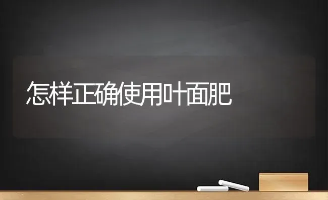 怎样正确使用叶面肥 | 养殖技术大全