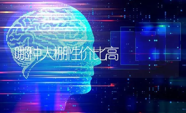哪种大棚性价比高 | 养殖技术大全