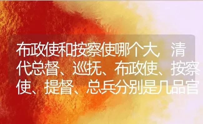 布政使和按察使哪个大,清代总督、巡抚、布政使、按察使、提督、总兵分别是几品官？ | 养殖科普