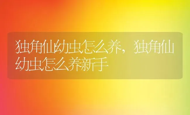 独角仙幼虫怎么养,独角仙幼虫怎么养新手 | 养殖资料