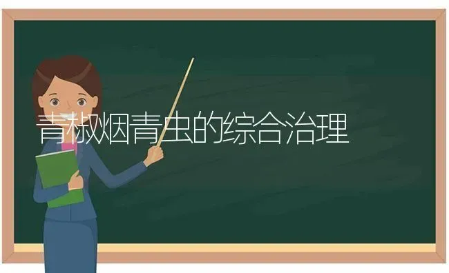 青椒烟青虫的综合治理 | 养殖知识