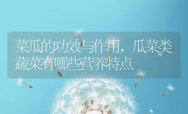 菜瓜的功效与作用,瓜菜类蔬菜有哪些营养特点 | 养殖学堂