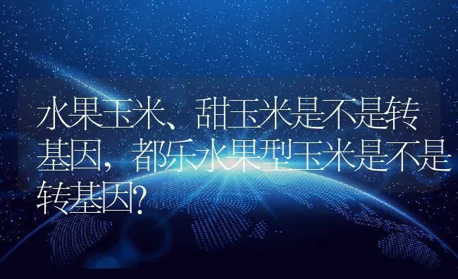 水果玉米、甜玉米是不是转基因,都乐水果型玉米是不是转基因？ | 养殖科普