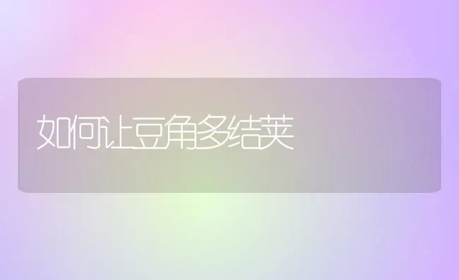 如何让豆角多结荚 | 养殖技术大全