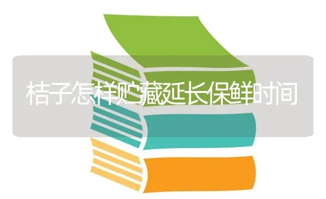 桔子怎样贮藏延长保鲜时间 | 养殖技术大全