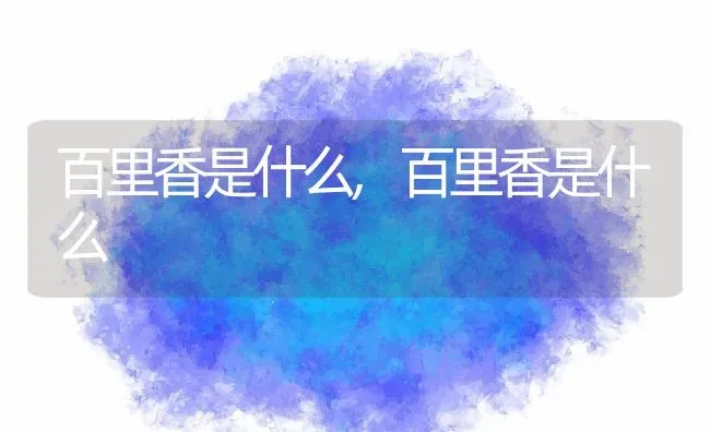 百里香是什么,百里香是什么 | 养殖科普