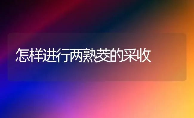 怎样进行两熟茭的采收 | 养殖技术大全