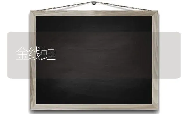 金线蛙 | 养殖技术大全
