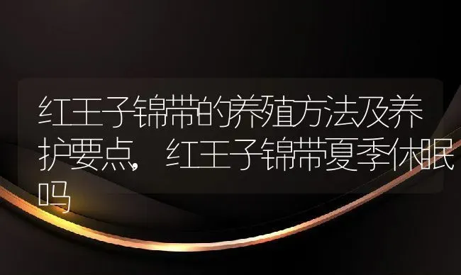 红王子锦带的养殖方法及养护要点,红王子锦带夏季休眠吗 | 养殖学堂