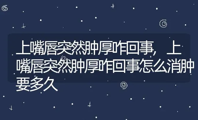 上嘴唇突然肿厚咋回事,上嘴唇突然肿厚咋回事怎么消肿要多久 | 养殖科普