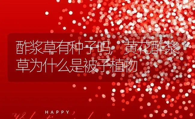 酢浆草有种子吗,黄花酢浆草为什么是被子植物 | 养殖学堂