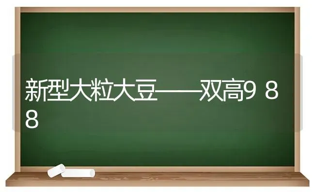 棉蚜的发生与防治方法 | 养殖技术大全