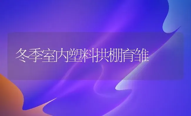 冬季室内塑料拱棚育雏 | 养殖技术大全