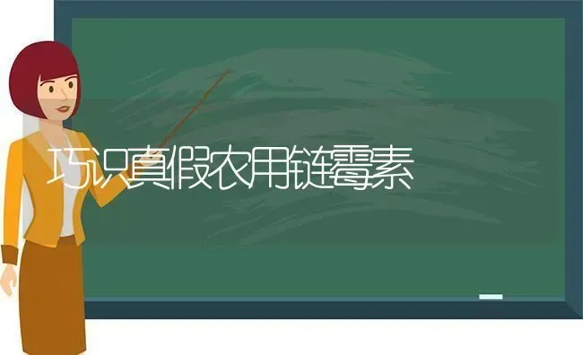 巧识真假农用链霉素 | 养殖知识