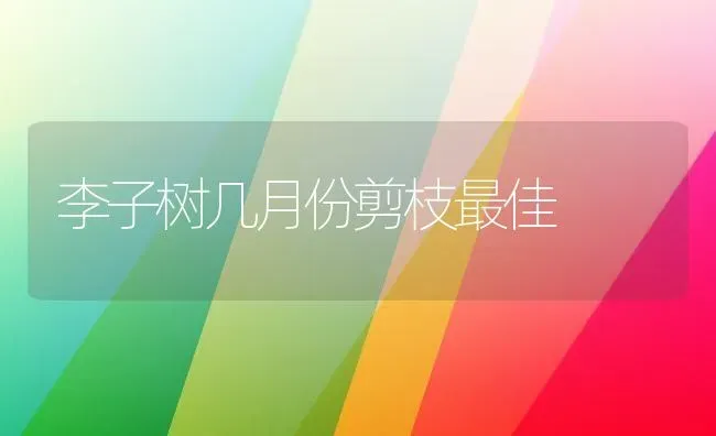 李子树几月份剪枝最佳 | 养殖技术大全