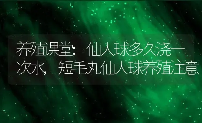 养殖课堂:仙人球多久浇一次水,短毛丸仙人球养殖注意 | 养殖学堂