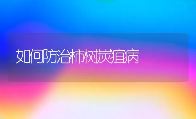 如何防治柿树炭疽病 | 养殖技术大全