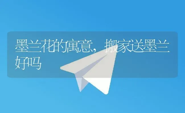 墨兰花的寓意,搬家送墨兰好吗 | 养殖科普