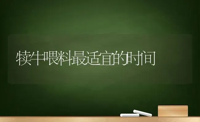 犊牛喂料最适宜的时间 | 养殖知识