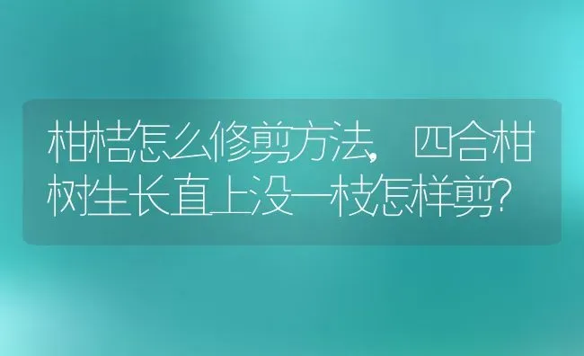 柑桔怎么修剪方法,四合柑树生长直上没一枝怎样剪？ | 养殖科普