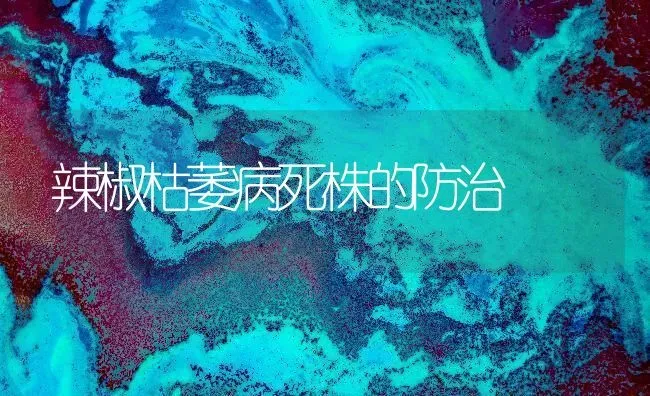 辣椒枯萎病死株的防治 | 养殖知识